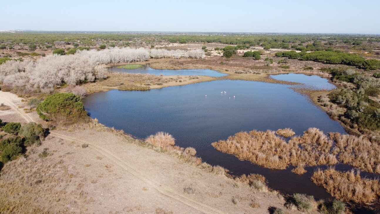 Laguna en el área de actuación de la Estación Biológica de Doñana