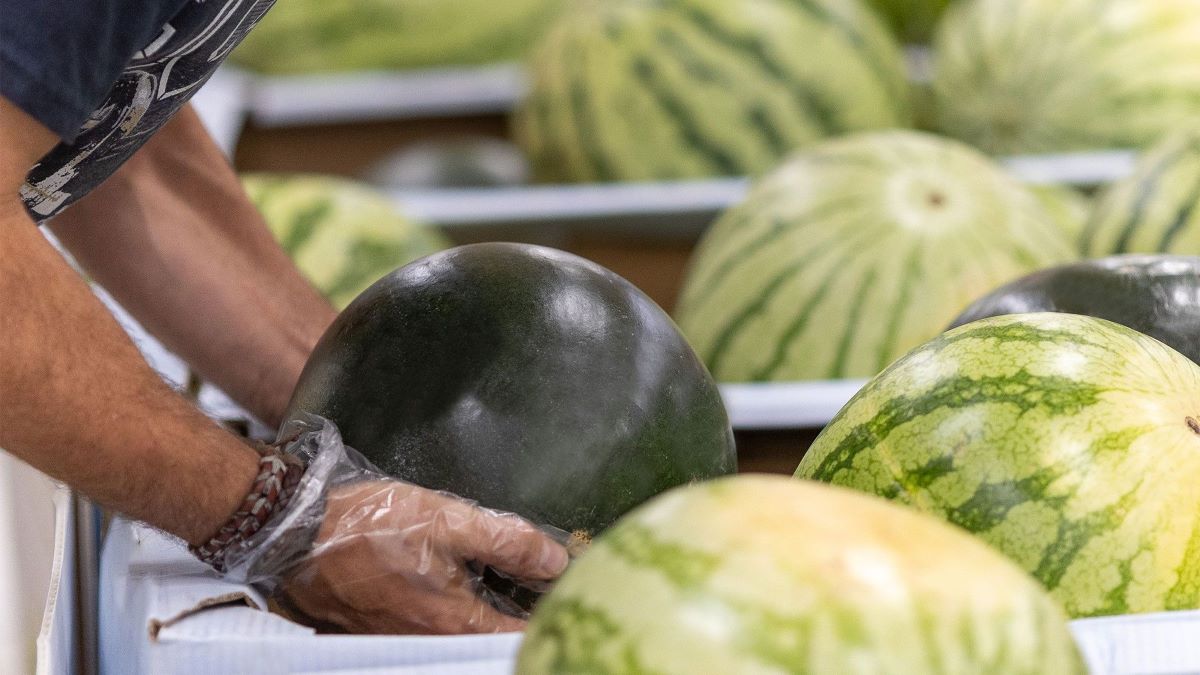 Sandía en Mercadona 2