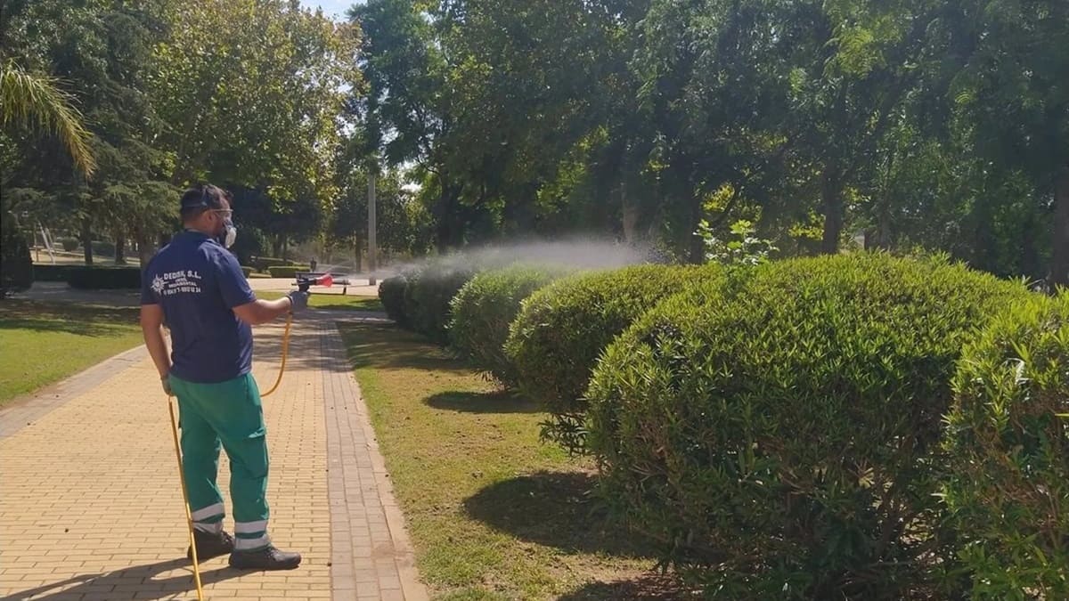 Fumigación contra los mosquitos del Virus del Nilo