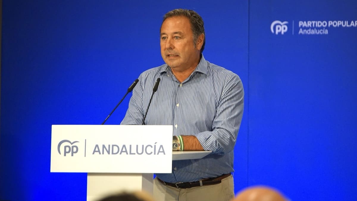 Ricardo Sánchez, presidente provincial del PP en Sevilla (1)