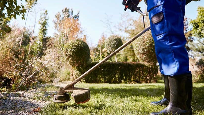 Una persona trabajando en un jardín privado