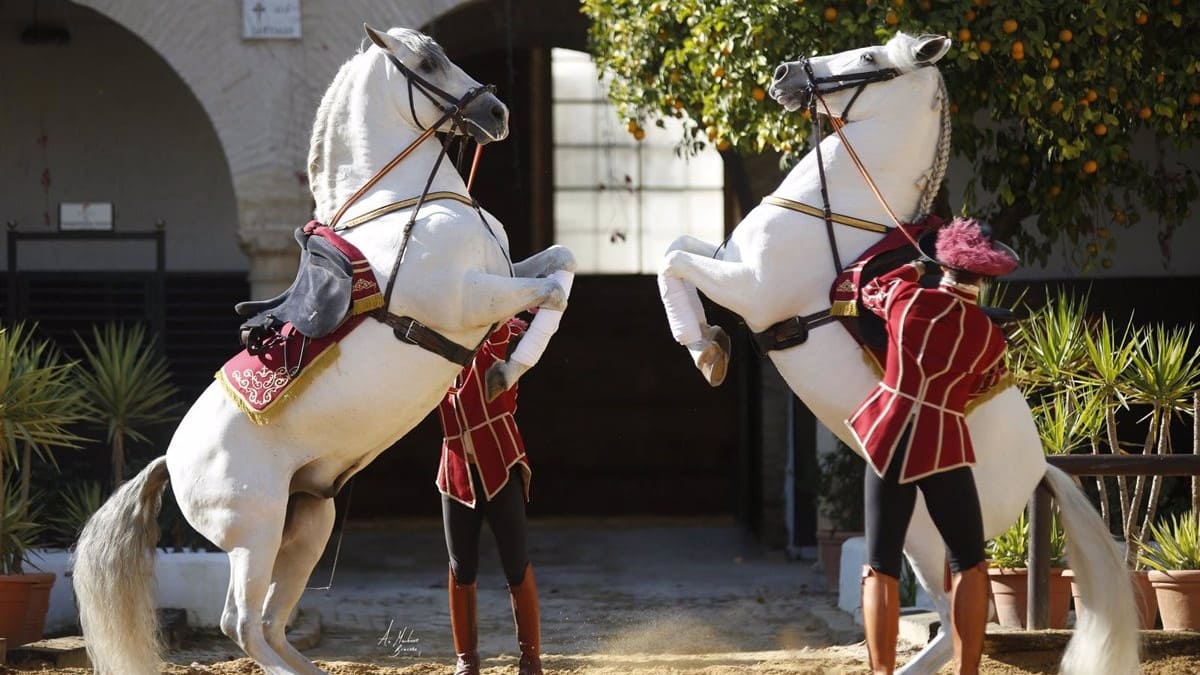 Espectáculo ecuestre en Córdoba