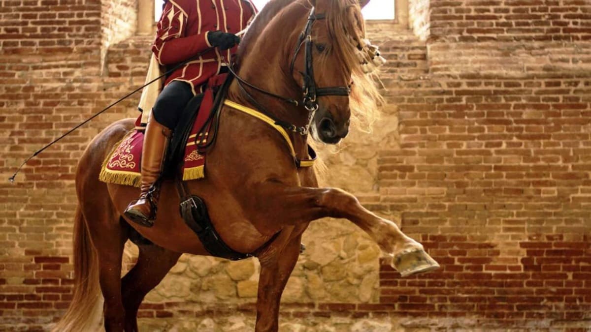 El caballo, protagonista del otoño en Córdoba