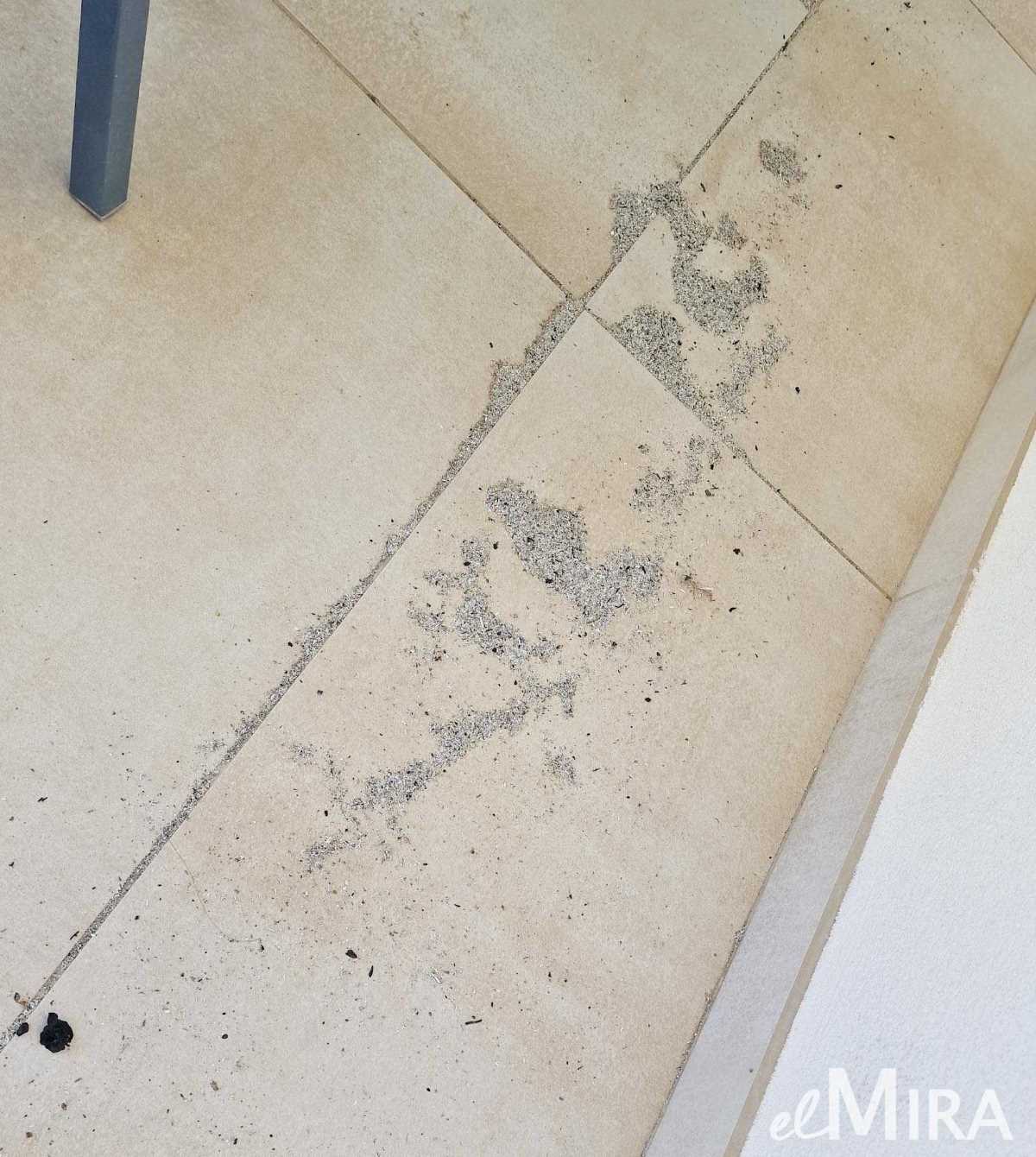 Cenizas en viviendas de urbanización Montealto llegadas desde el incendio en el centro de Jerez