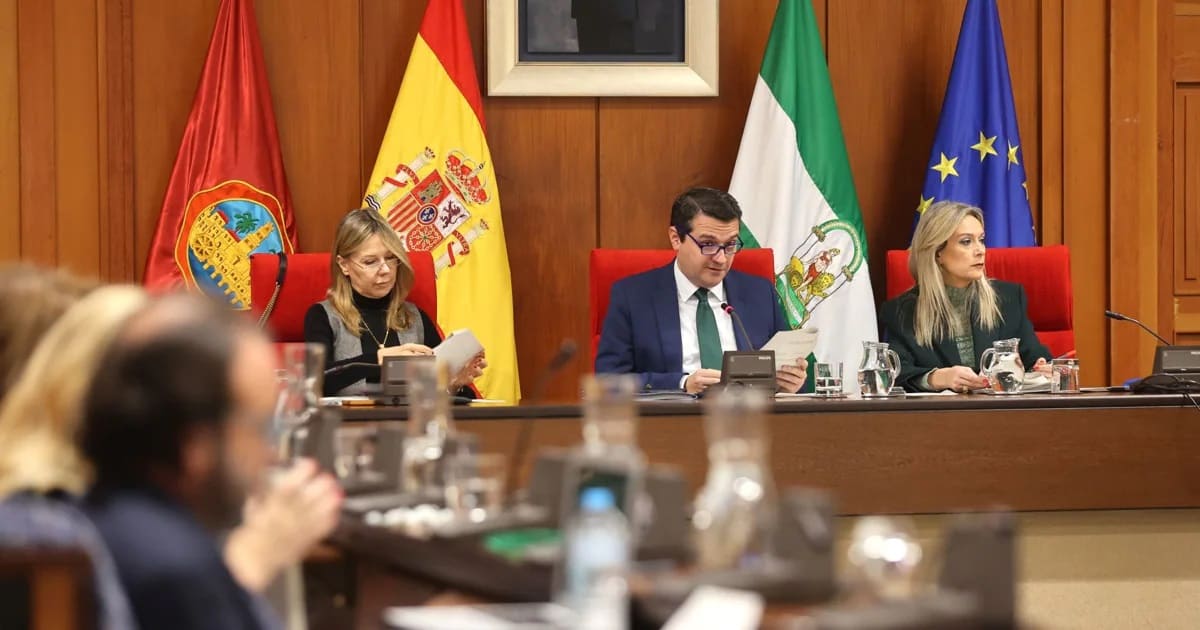 Celebración de un pleno en el Ayuntamiento de Córdoba