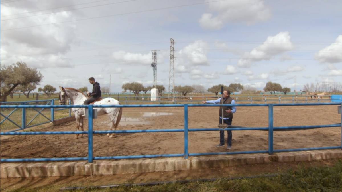 Zonas exteriores de la hacienda de Bertín Osborne | TVE