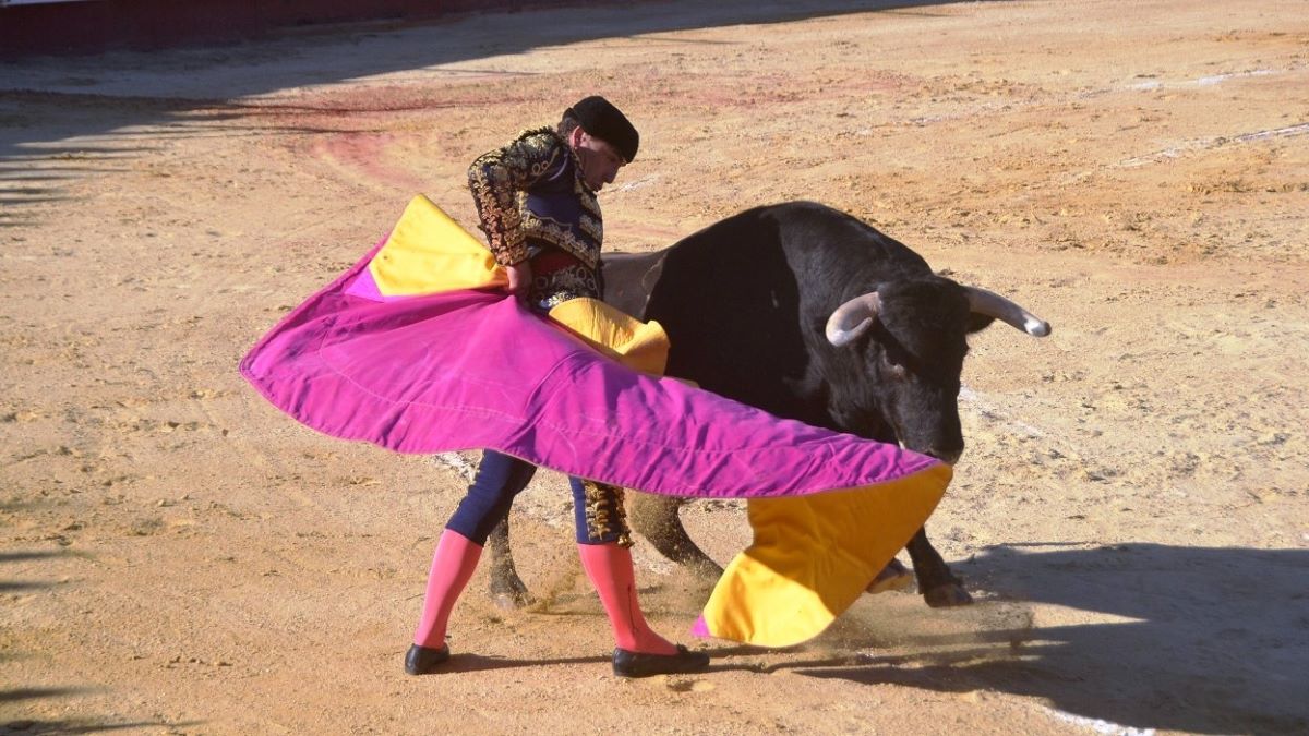 Octavio Chacón I Breña