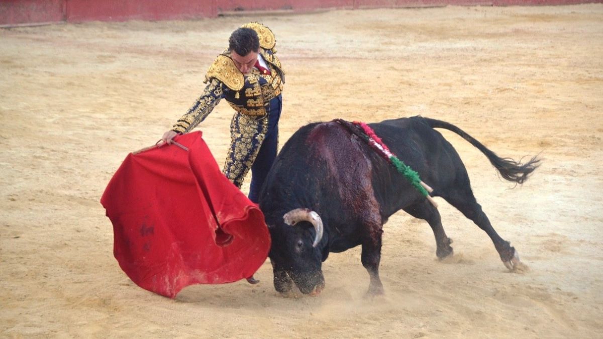 Octavio Chacón I Breña