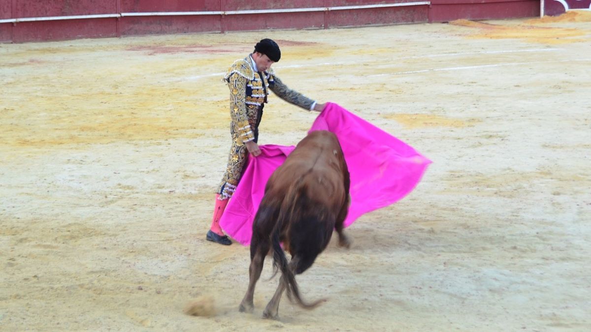 David de Miranda I Breña