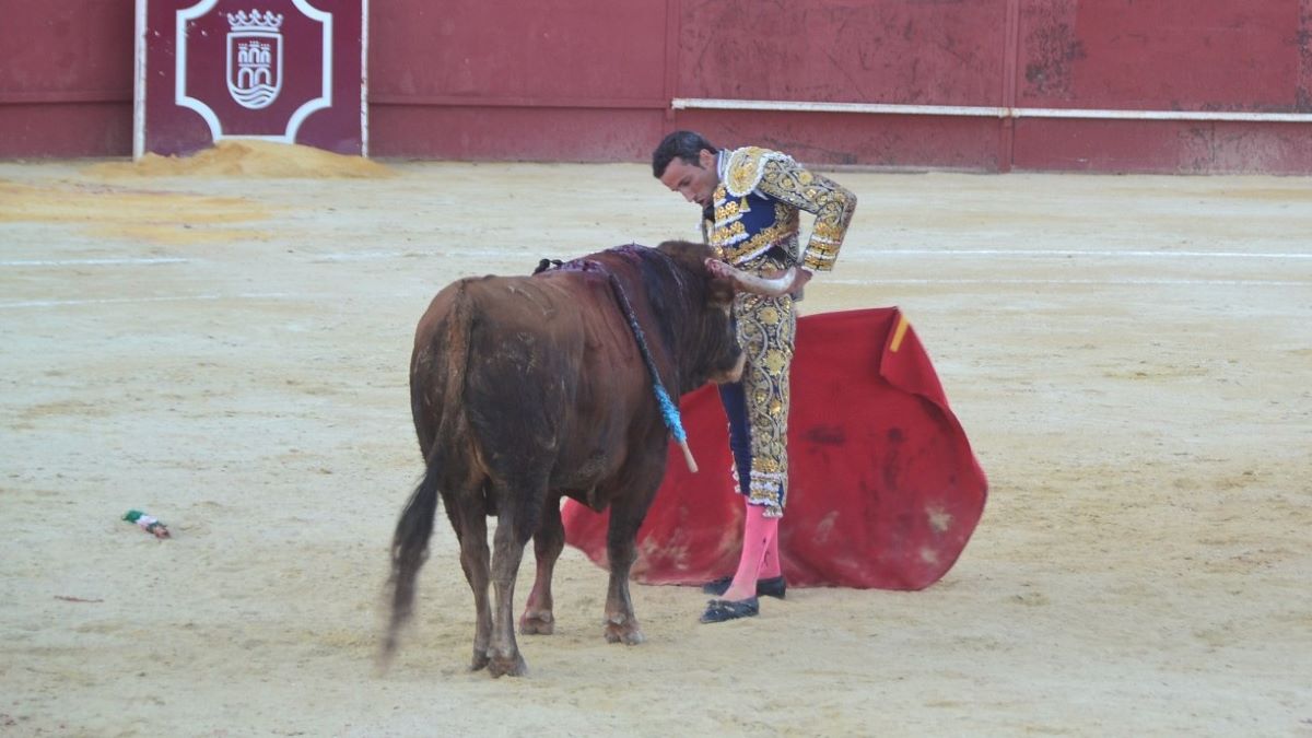 David de Miranda I Breña