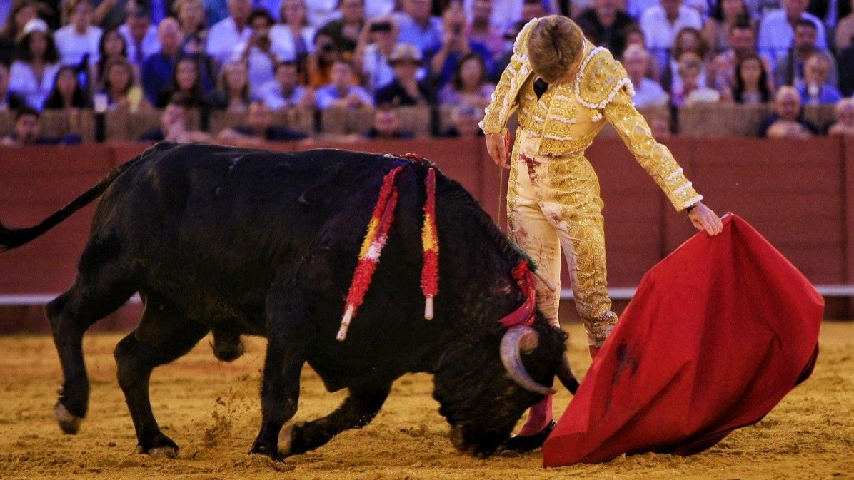 Borja Jiménez | Arjona