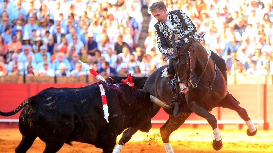 Hermoso de Mendoza | Arjona