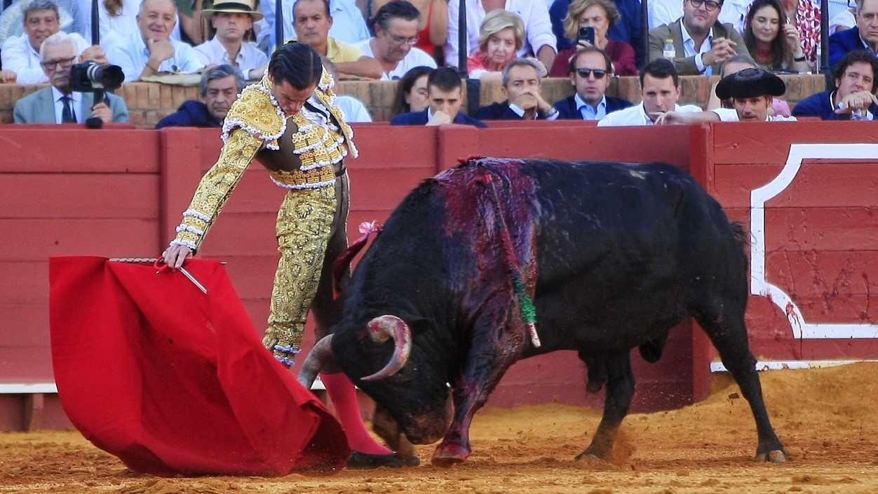 Juan Ortega | Arjona