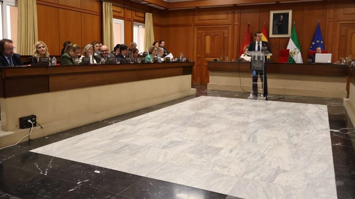 Celebración del pleno en el Ayuntamiento de Córdoba