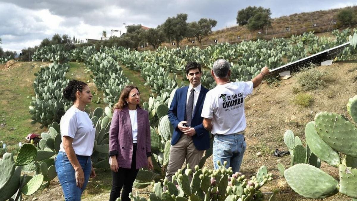 La delegada de Gobierno andaluz en Málaga, Patricia Navarro, ha visitado Coín