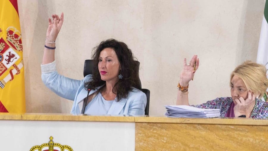 Celebración de un pleno en el Ayuntamiento de Almería