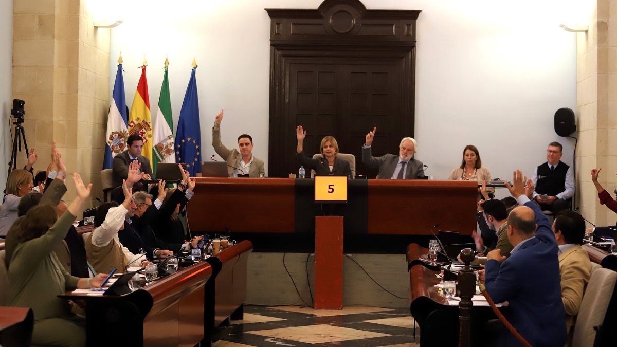 Imagen del Pleno en Jerez