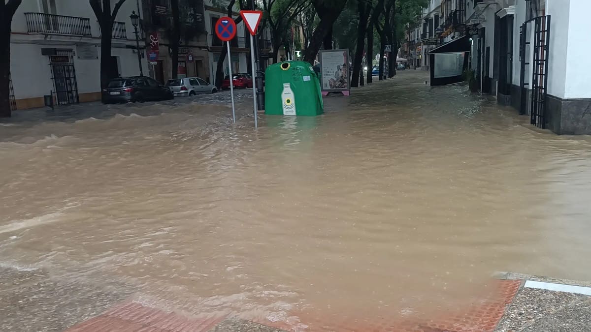 Jerez se ha visto muy afectada por las lluvias