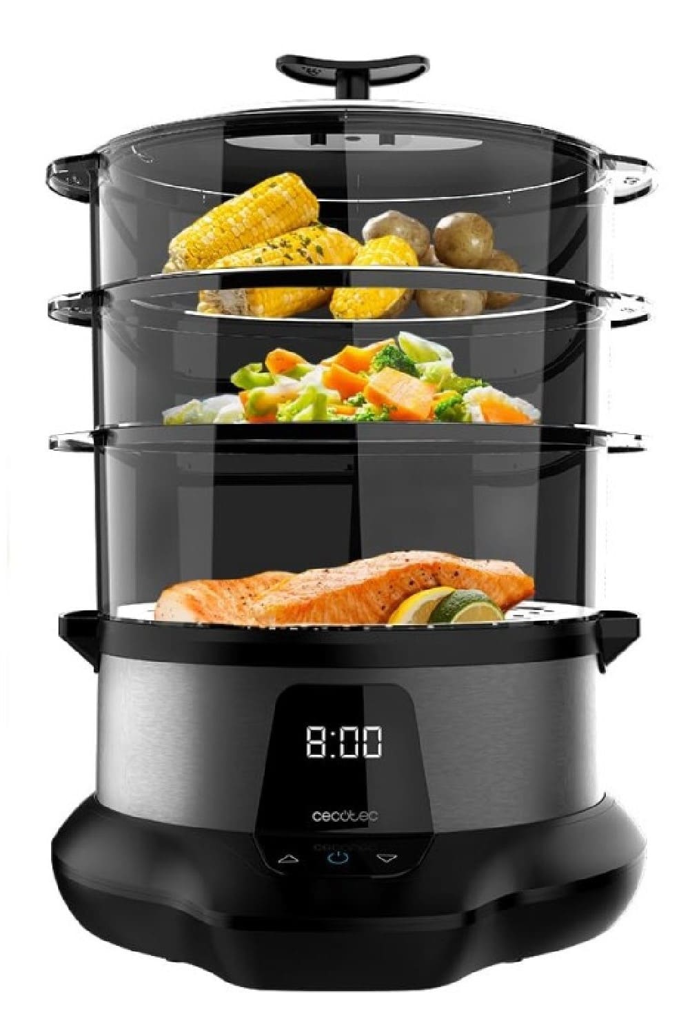 Vaporera eléctrica Vapovita Cecotec