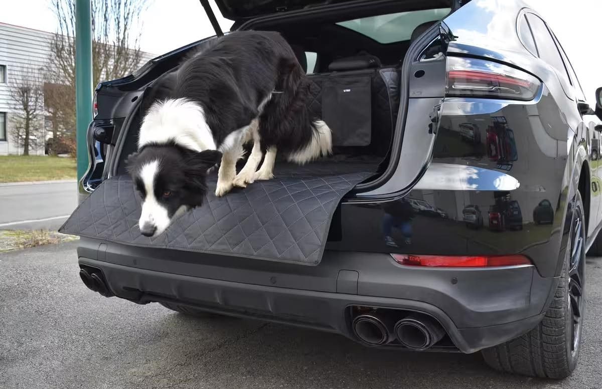 Estera protectora de maletero para perros Roony
