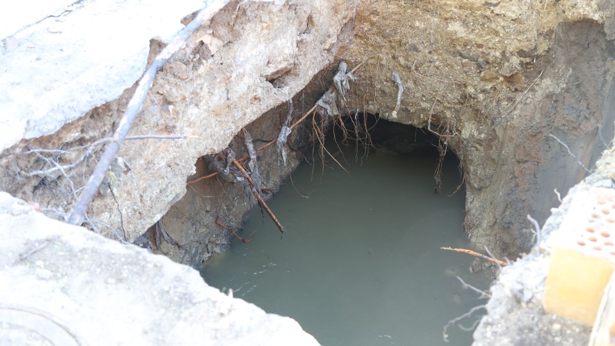 Efectos de la DANA a su paso por Jerez | Cristo García