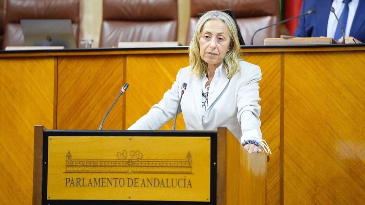 Rocío Hernández, consejera de Salud de la Junta de Andalucía (1)