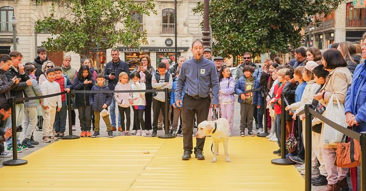 La Fundación ONCE ha visibilizado el trabajo de los perros guía