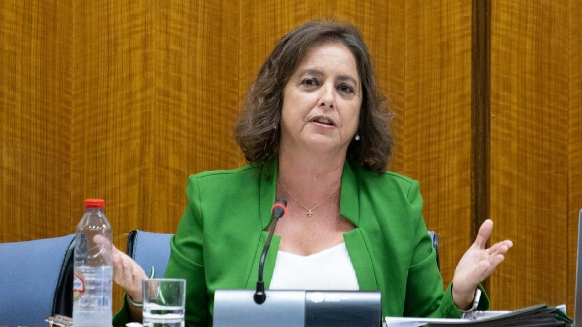 La consejera Catalina García, este miércoles en comisión parlamentaria