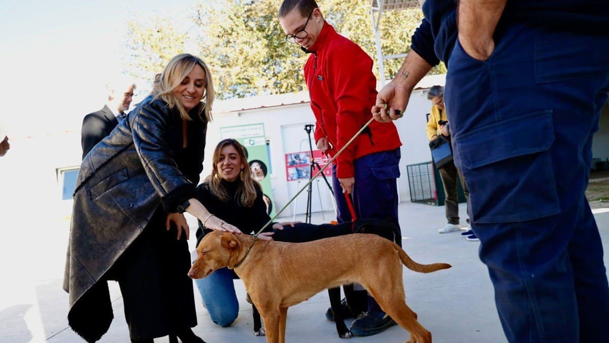 La alcaldesa Marifrán Carazo, ha sido la encargada de presentar la campaña