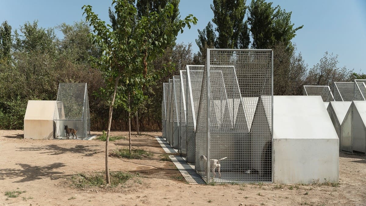 El Centro de Bienestar Animal El Vívero de Granada