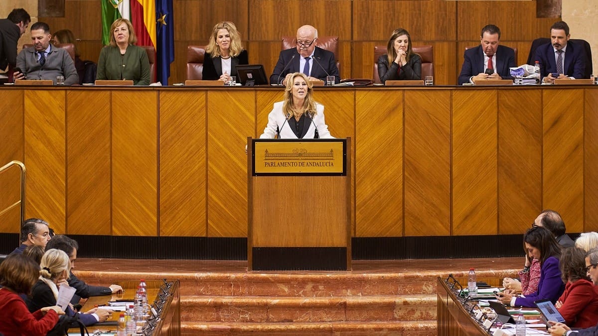 La consejera Carolina España, durante su intervención | Salvador López Medina