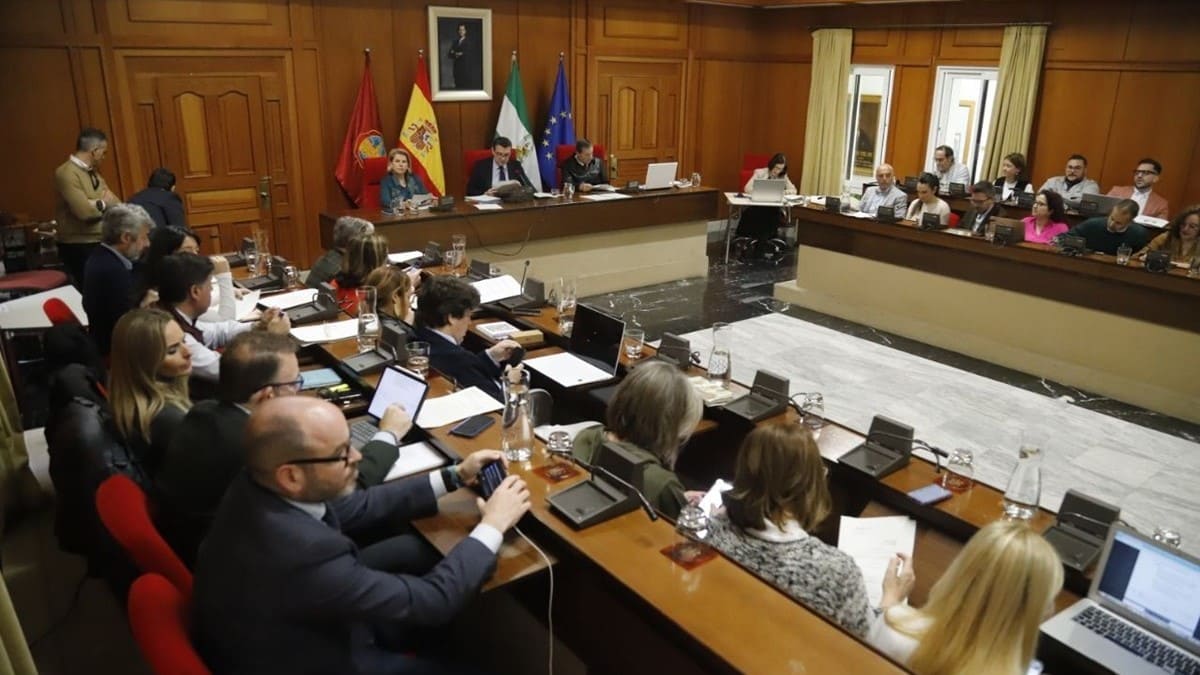 Imagen de archivo de la celebración de un pleno en el Ayuntamiento de Córdoba