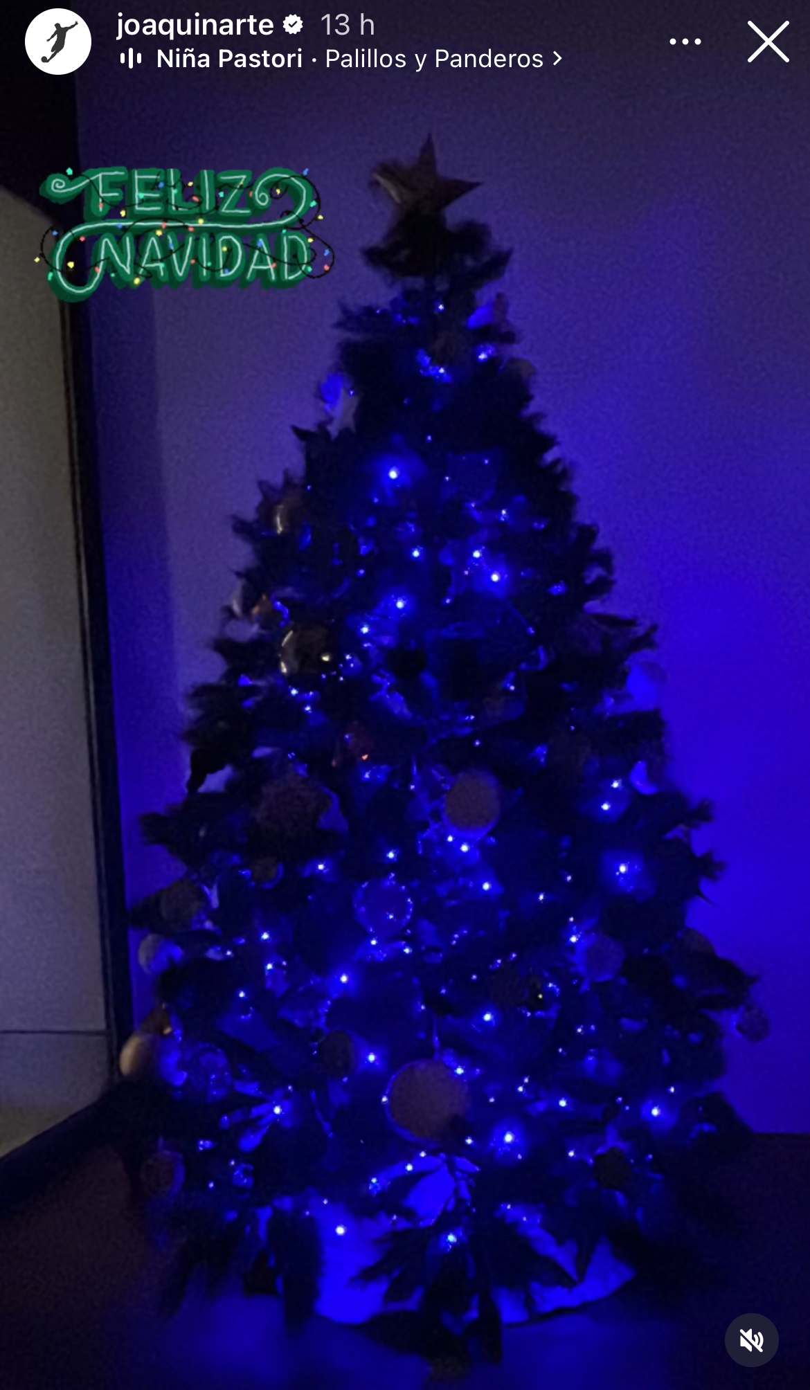 El árbol de Navidad de Joaquín y Susana | @joaquinarte