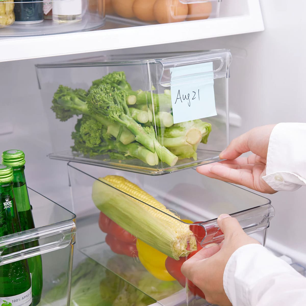 Caja para frigorífico KLIPPKAKTUS