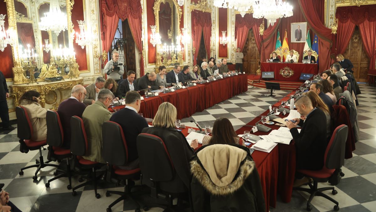 Pleno de la Diputación de Cádiz | Cristo García