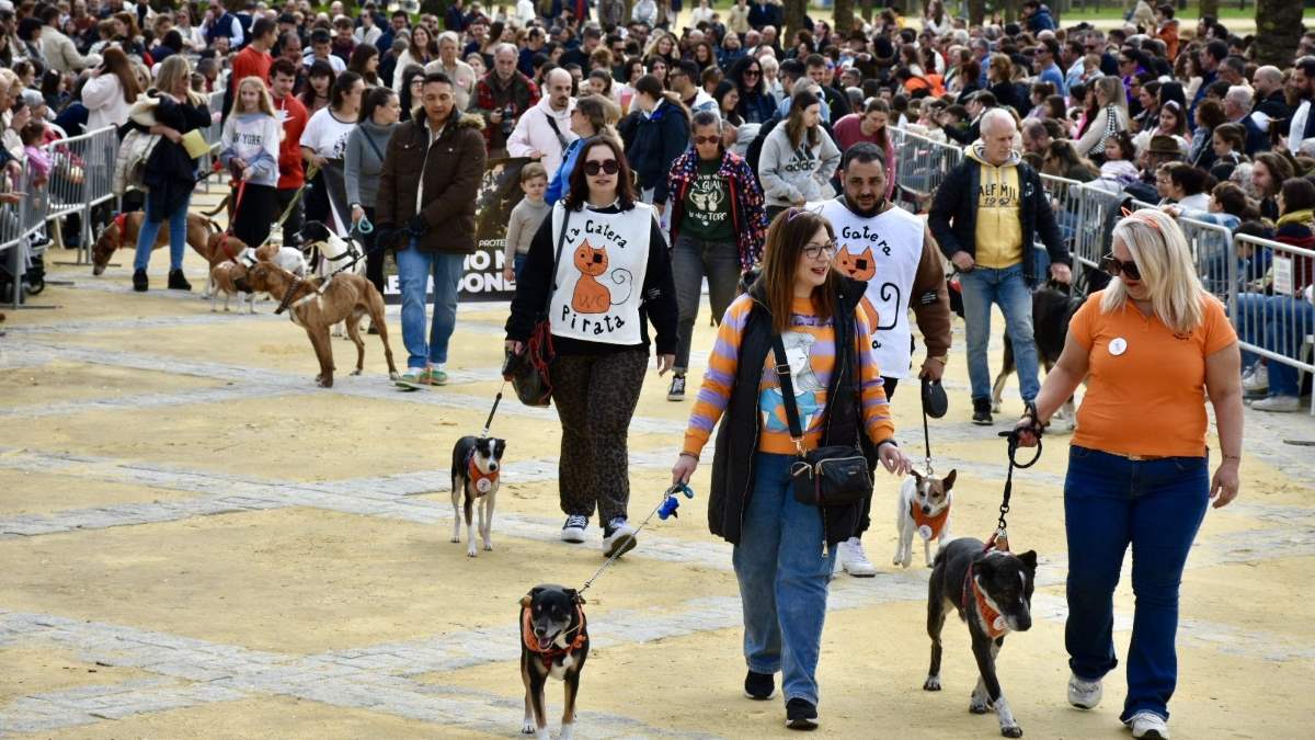 Festividad de San Antón en Jerez 2025 | Noelia Herrera