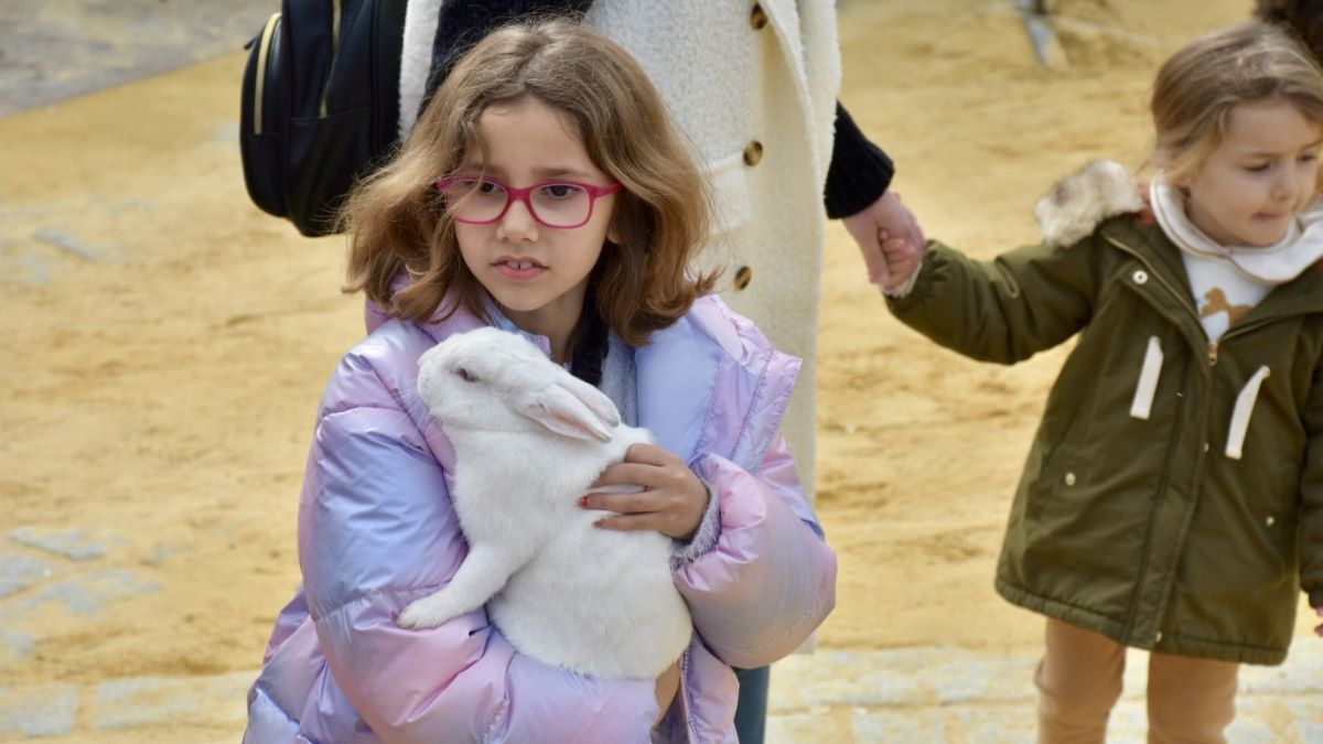 Festividad de San Antón en Jerez 2025 | Noelia Herrera