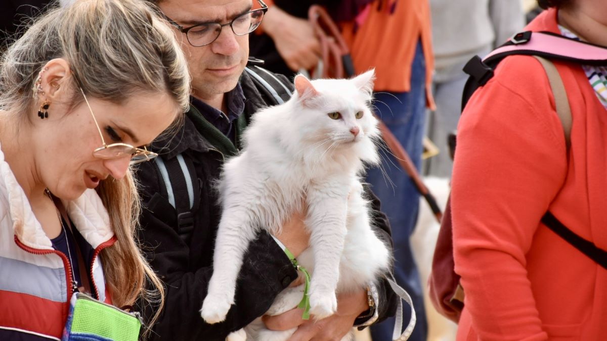 Festividad de San Antón en Jerez 2025 | Noelia Herrera