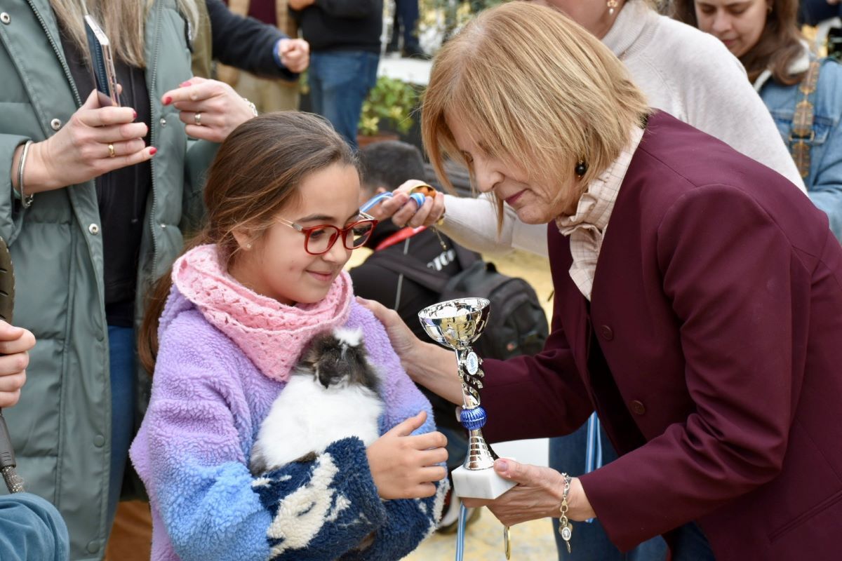 Festividad de San Antón en Jerez 2025 | Noelia Herrera