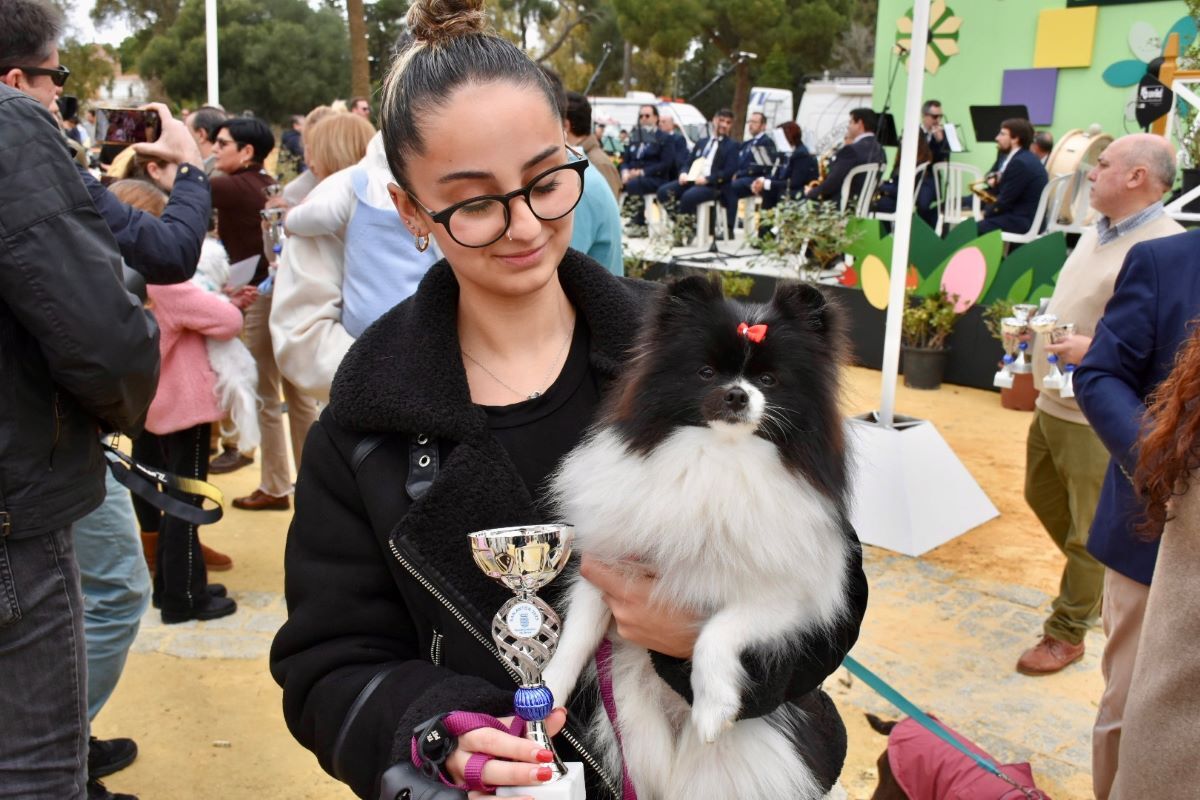 Festividad de San Antón en Jerez 2025 | Noelia Herrera