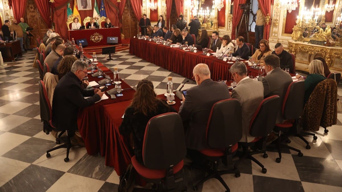 El Palacio Provincial ha acogido la sesión plenaria ordinaria del mes de febrero | Cristo García