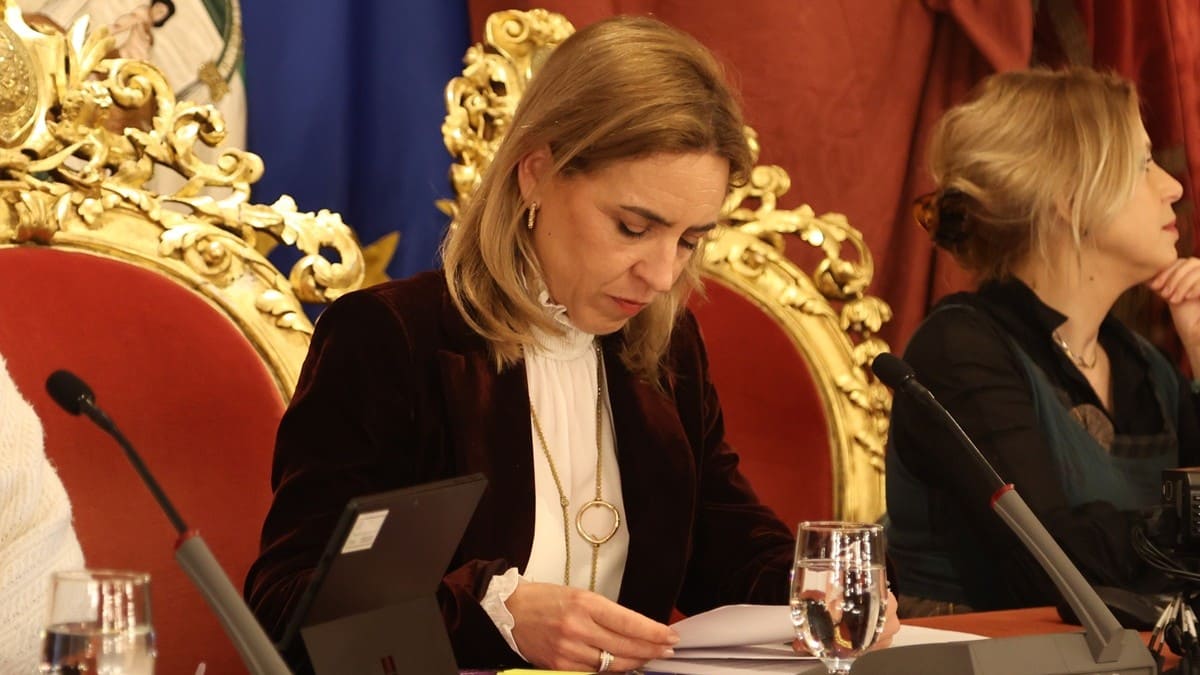 Martínez consultando un documento durante el pleno | Cristo García