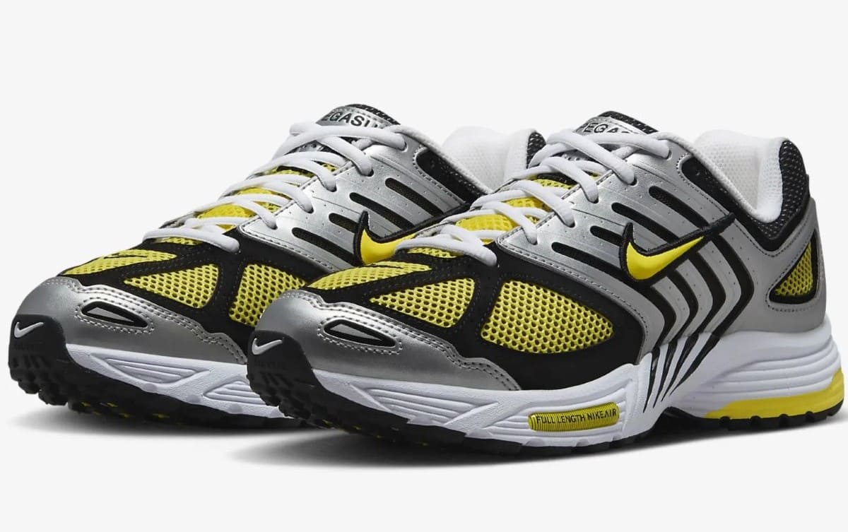 Zapatillas Nike Air Pegasus 2005