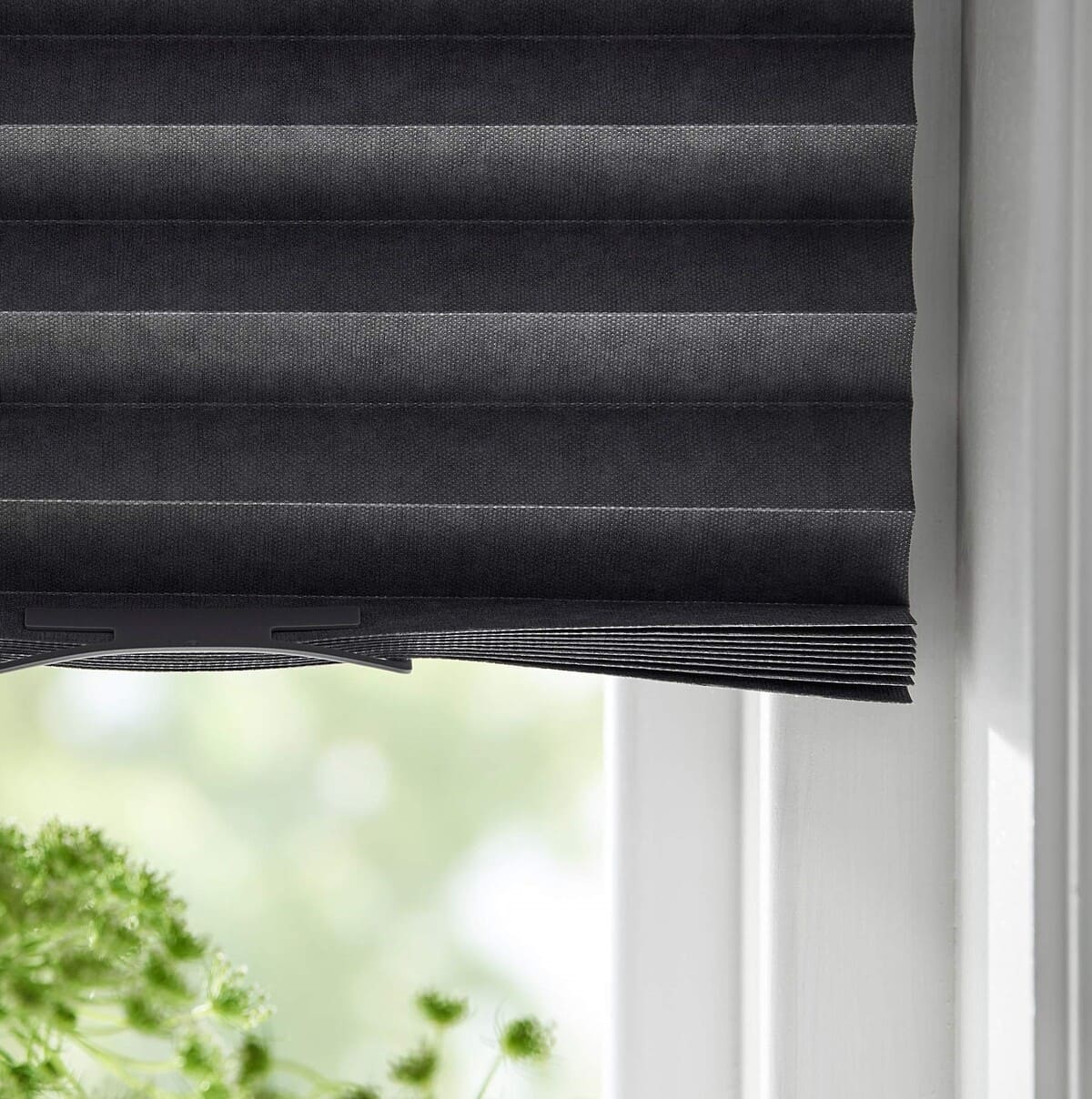 Estor plisado y opaco SCHOTTIS