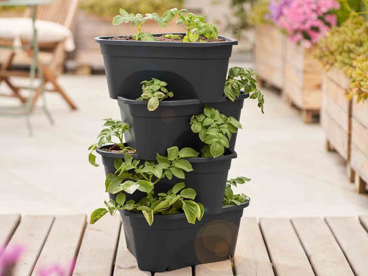 Torre de plantación Parkside 