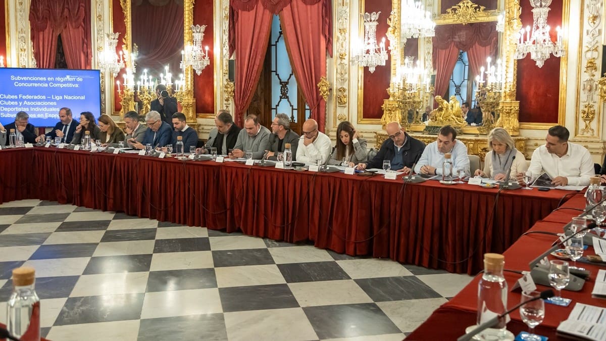 La reunión se ha celebrado en el Palacio Provincial | Cristo García