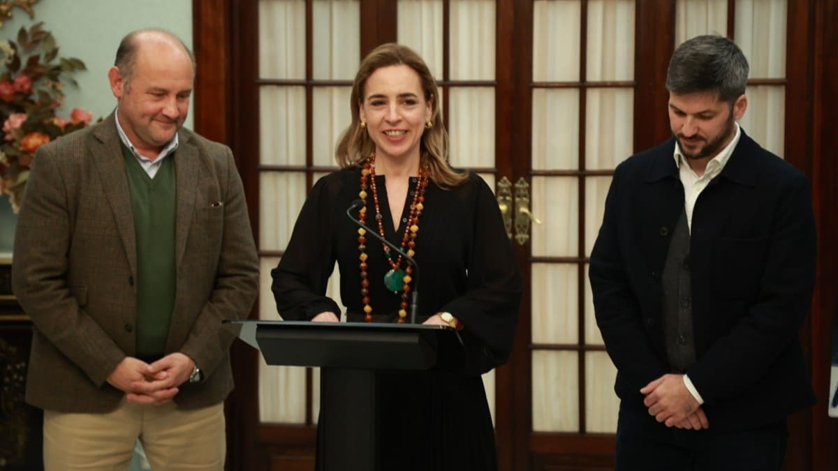 La presidenta de la Diputación, Almudena Martínez, durante su atención a los medios | Cristo García