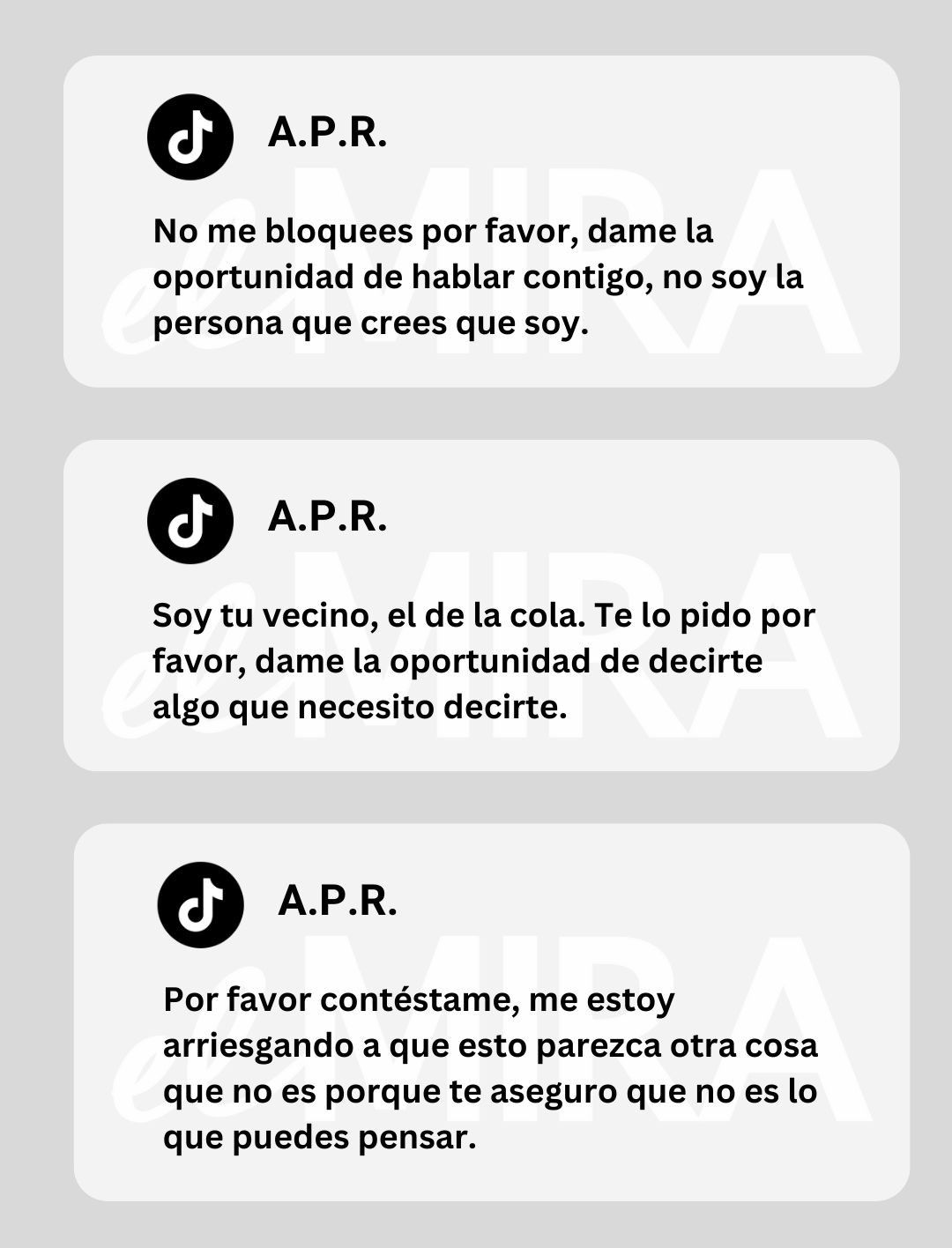 Segundo contacto en Tik Tok de A.P.R. a la menor