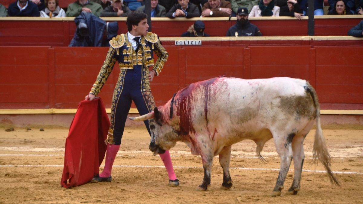 Gonzalo Capdevila I Breña