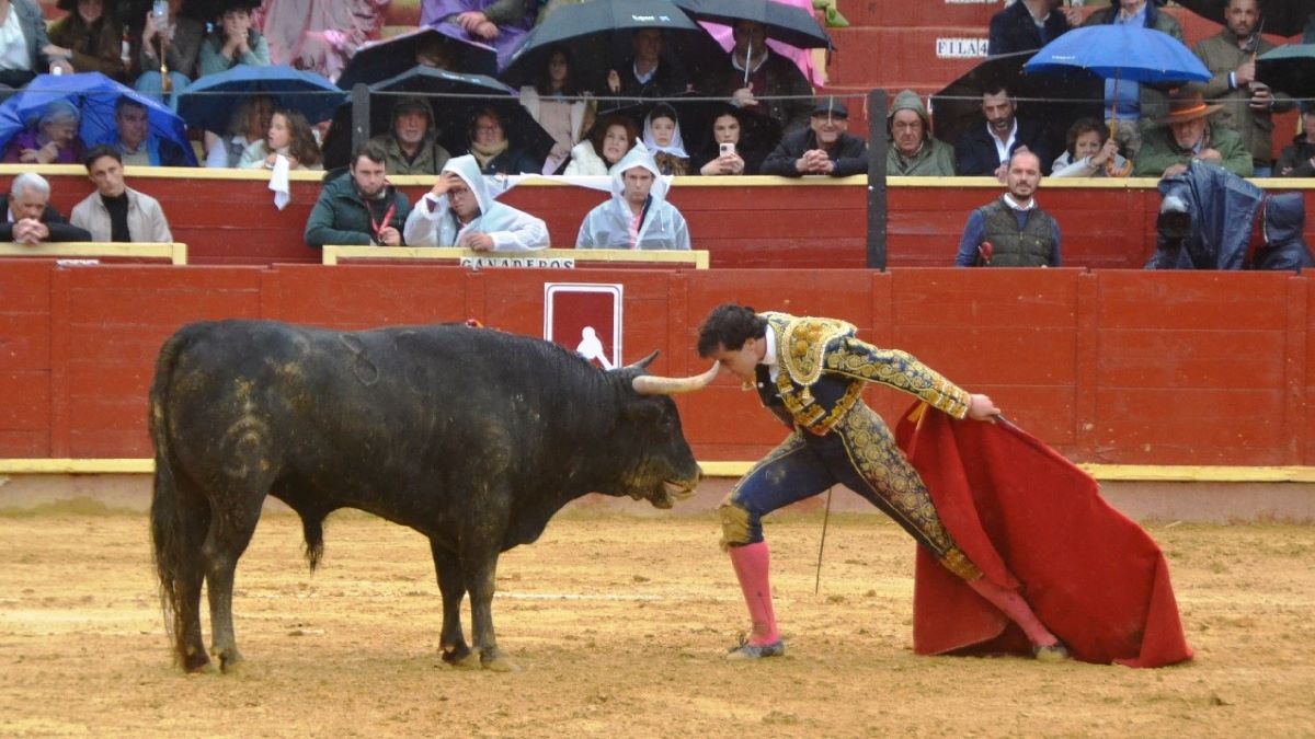 Gonzalo Capdevila I Breña